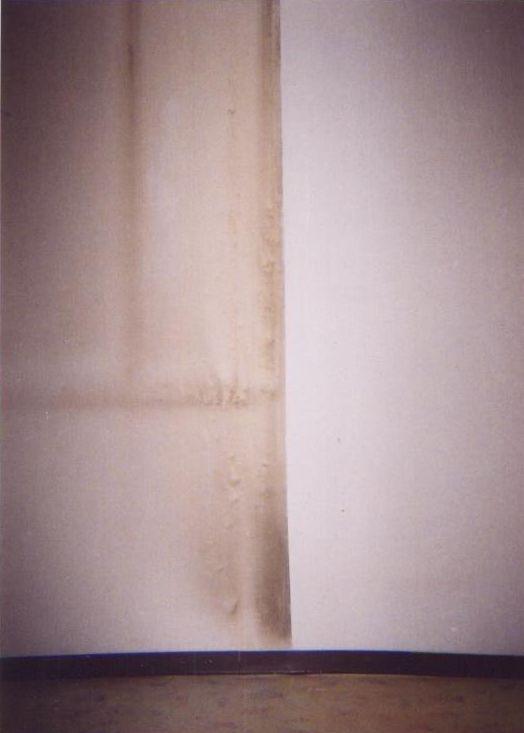 ハウスクリーニング